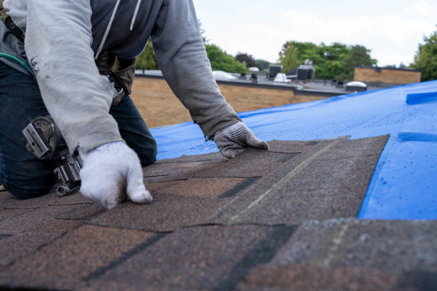 Quick and Trustworthy Emergency Roof Repair Services in New Freedom, PA